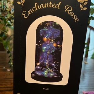 Blue Enchanted rose